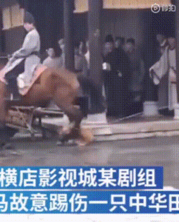 《狼殿下》苍鹰真伪引热议,为何总有剧组被人质疑虐待动物?休闲区蓝鸢梦想 - Www.slyday.coM 《狼殿下》苍鹰真伪引热议,为何总有剧组被人质疑虐待动物?休闲区蓝鸢梦想 - Www.slyday.coM