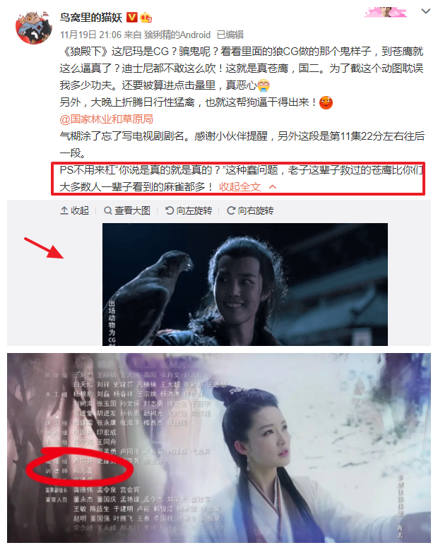 《狼殿下》苍鹰真伪引热议,为何总有剧组被人质疑虐待动物?休闲区蓝鸢梦想 - Www.slyday.coM 《狼殿下》苍鹰真伪引热议,为何总有剧组被人质疑虐待动物?休闲区蓝鸢梦想 - Www.slyday.coM