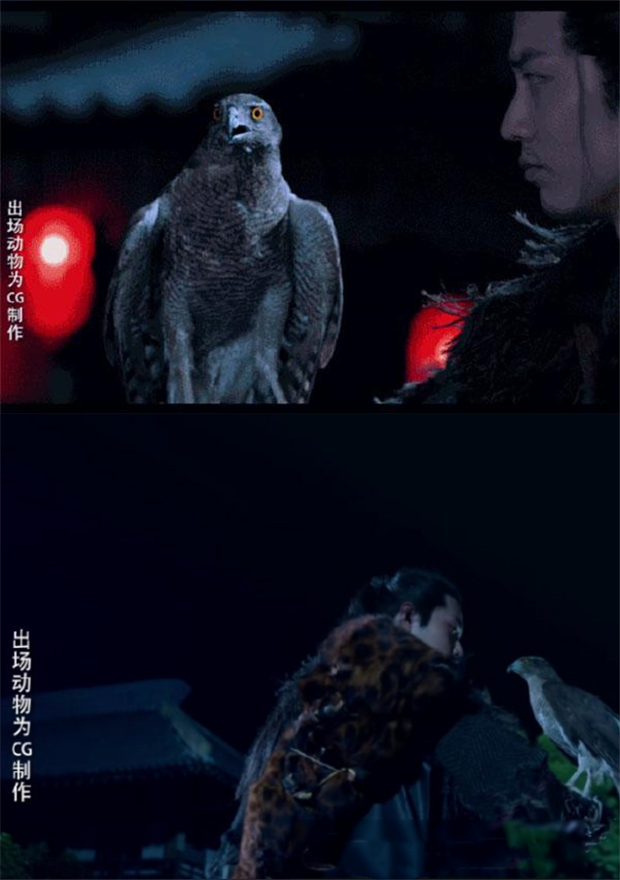 《狼殿下》苍鹰真伪引热议,为何总有剧组被人质疑虐待动物?休闲区蓝鸢梦想 - Www.slyday.coM 《狼殿下》苍鹰真伪引热议,为何总有剧组被人质疑虐待动物?休闲区蓝鸢梦想 - Www.slyday.coM