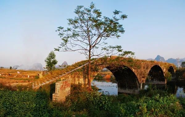 平桂马峰桥钟山石龙桥用砖或石砌拱,并用券拱代梁横跨水面的桥.