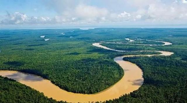 印尼加里曼丹岛戈氏金丝燕的故乡