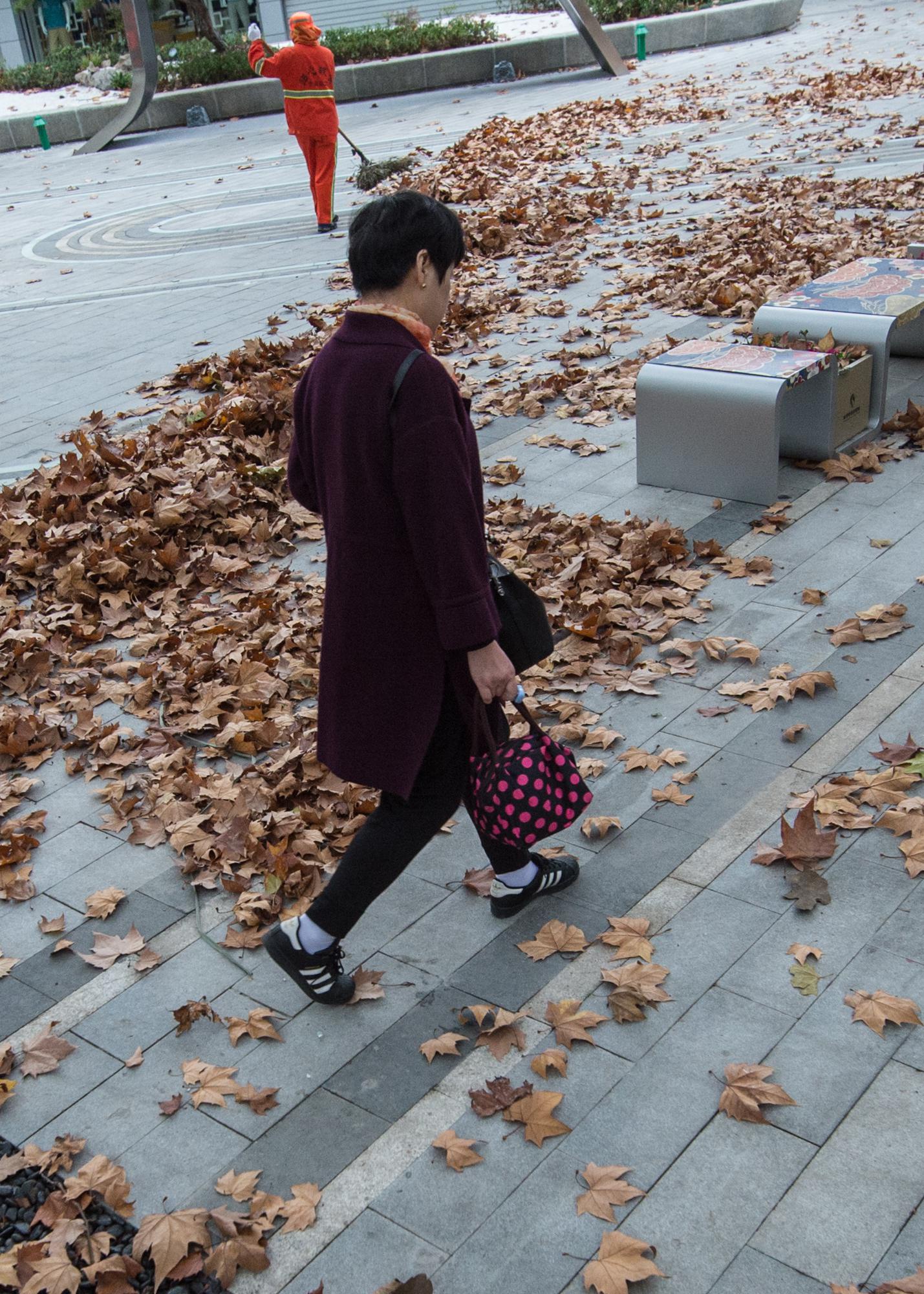 杭州街头落叶满地