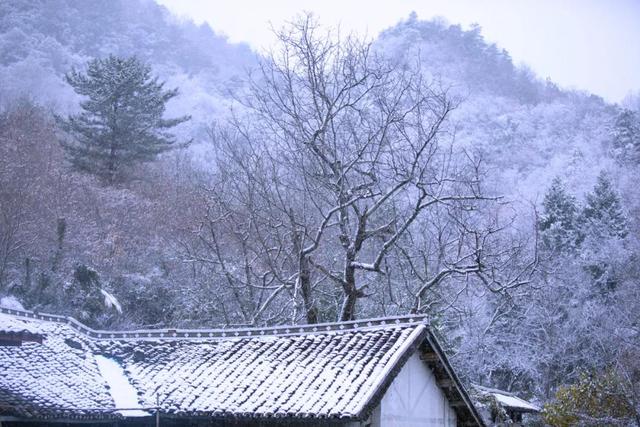 江山如此多娇米仓山大峡谷大美雪景上新