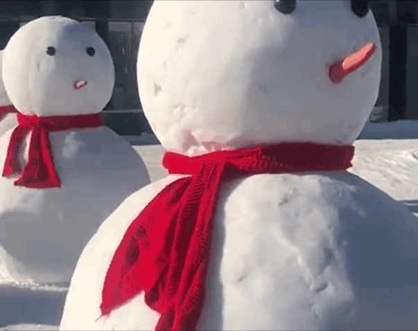 603_478gif 动态图 动图