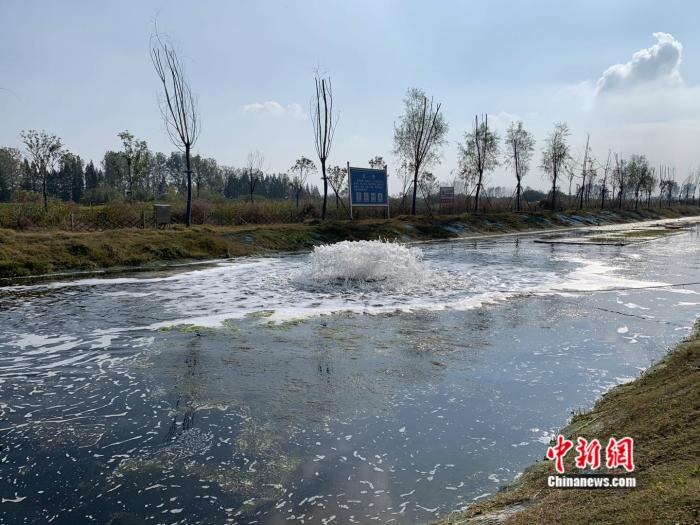 江苏泰兴经济开发区的一处污水处理尾水净化生态湿地工程。 中新网 彭婧如 摄