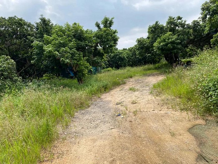 图片来源：深圳土地矿业权交易平台