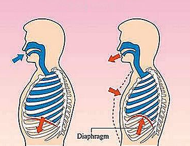 呼吸深度影响寿命长度!有这些症状预示你的身体长期缺氧
