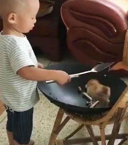 5岁外孙给外婆烧鸡,听完外孙的话,外婆心里乐开了花休闲区蓝鸢梦想 - Www.slyday.coM 5岁外孙给外婆烧鸡,听完外孙的话,外婆心里乐开了花休闲区蓝鸢梦想 - Www.slyday.coM