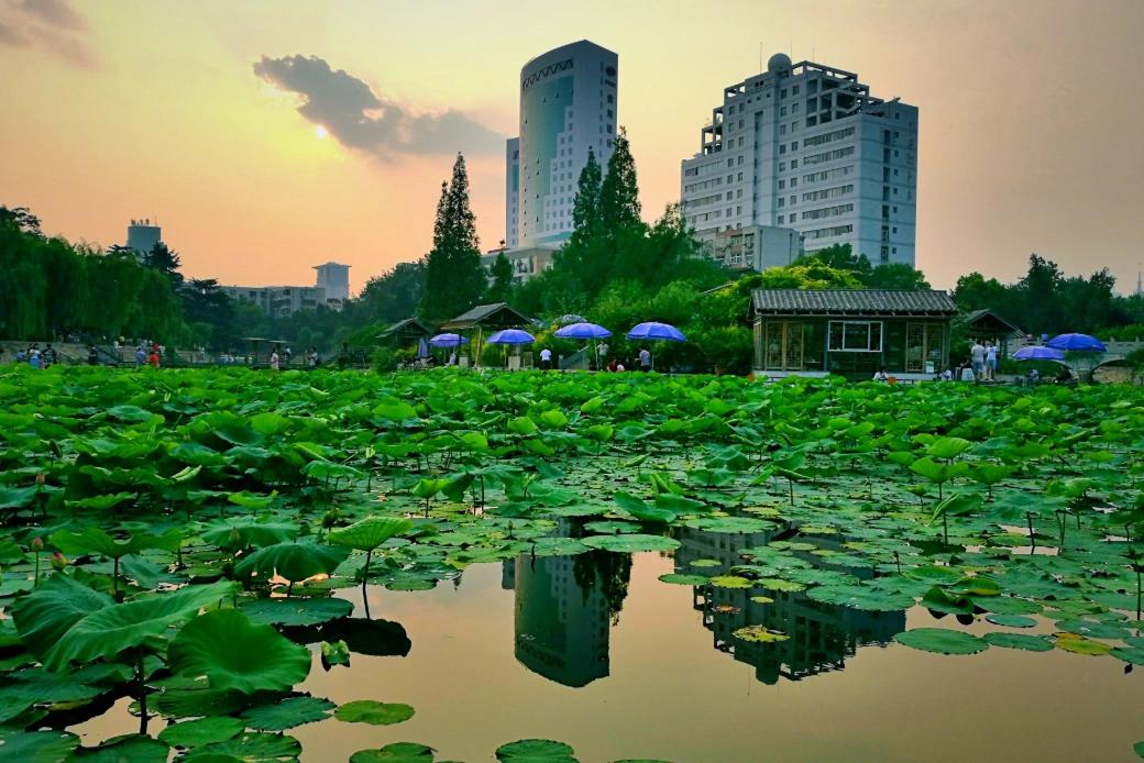 郑州又一公园走红号称河南独家巨作门票免费