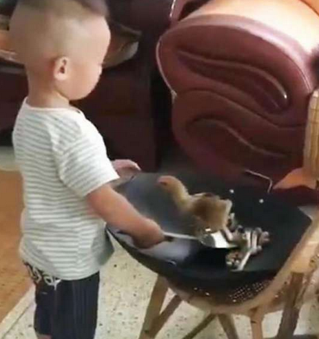 5岁外孙给外婆烧鸡,听完外孙的话,外婆心里乐开了花休闲区蓝鸢梦想 - Www.slyday.coM 5岁外孙给外婆烧鸡,听完外孙的话,外婆心里乐开了花休闲区蓝鸢梦想 - Www.slyday.coM