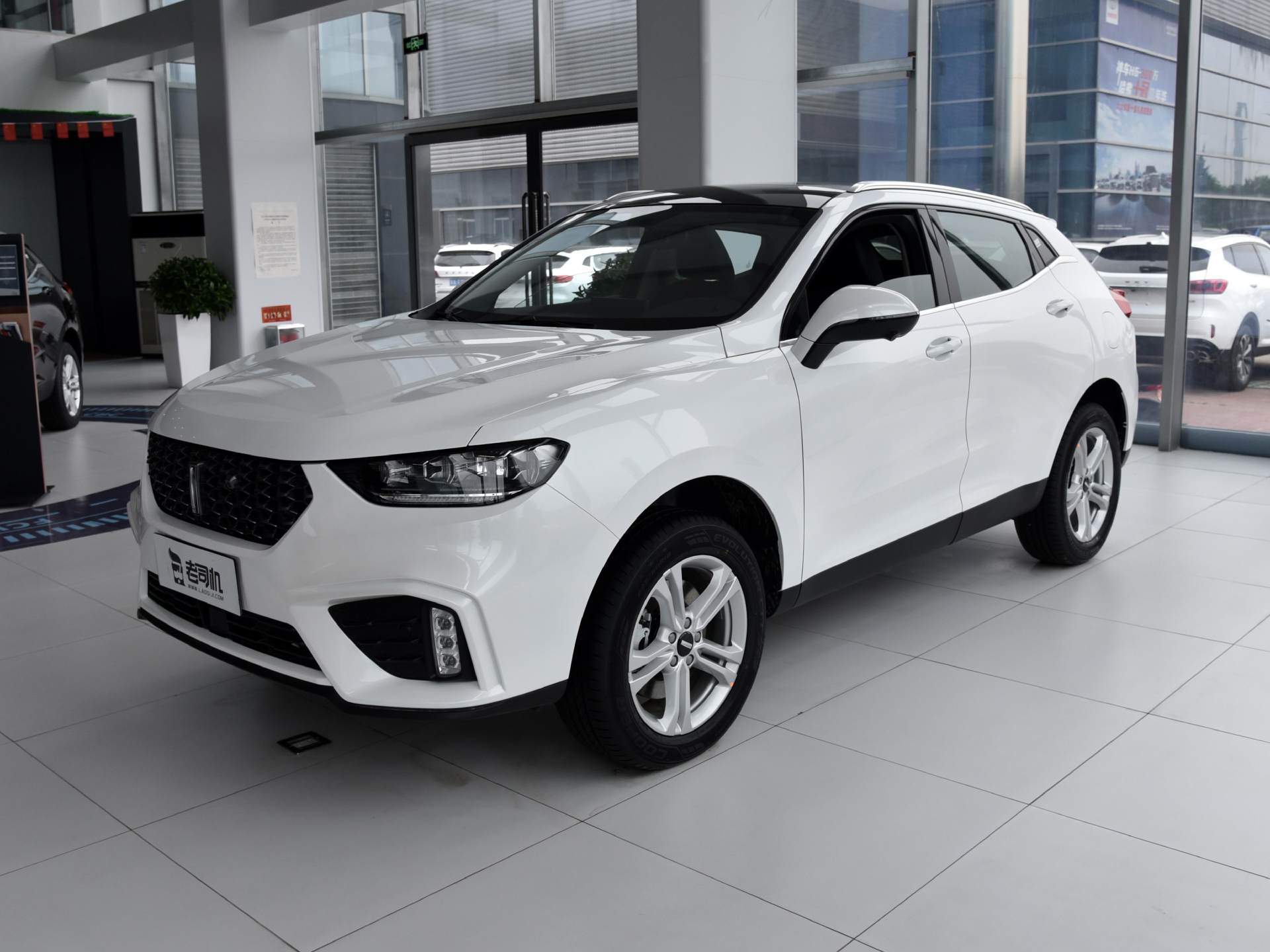 带着四出排气的城市suv实拍weyvv5