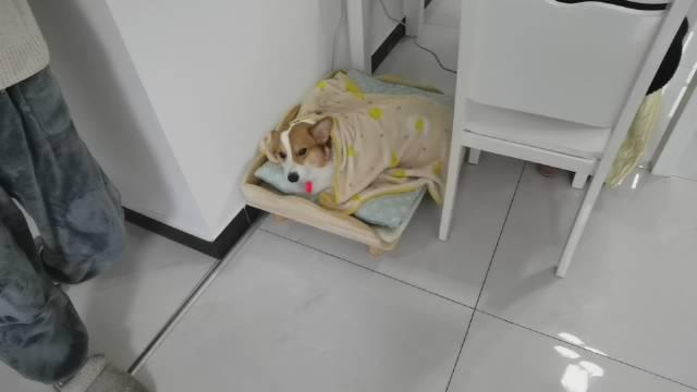 周末想睡懒觉却被麻麻掀开被子那一刻