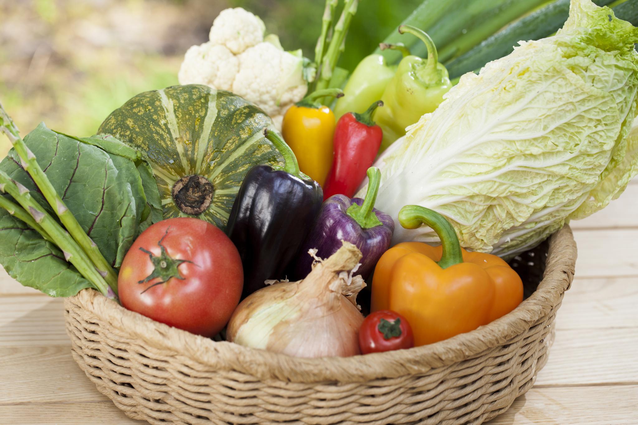 烂蔬菜也能创造"绿色"世界?