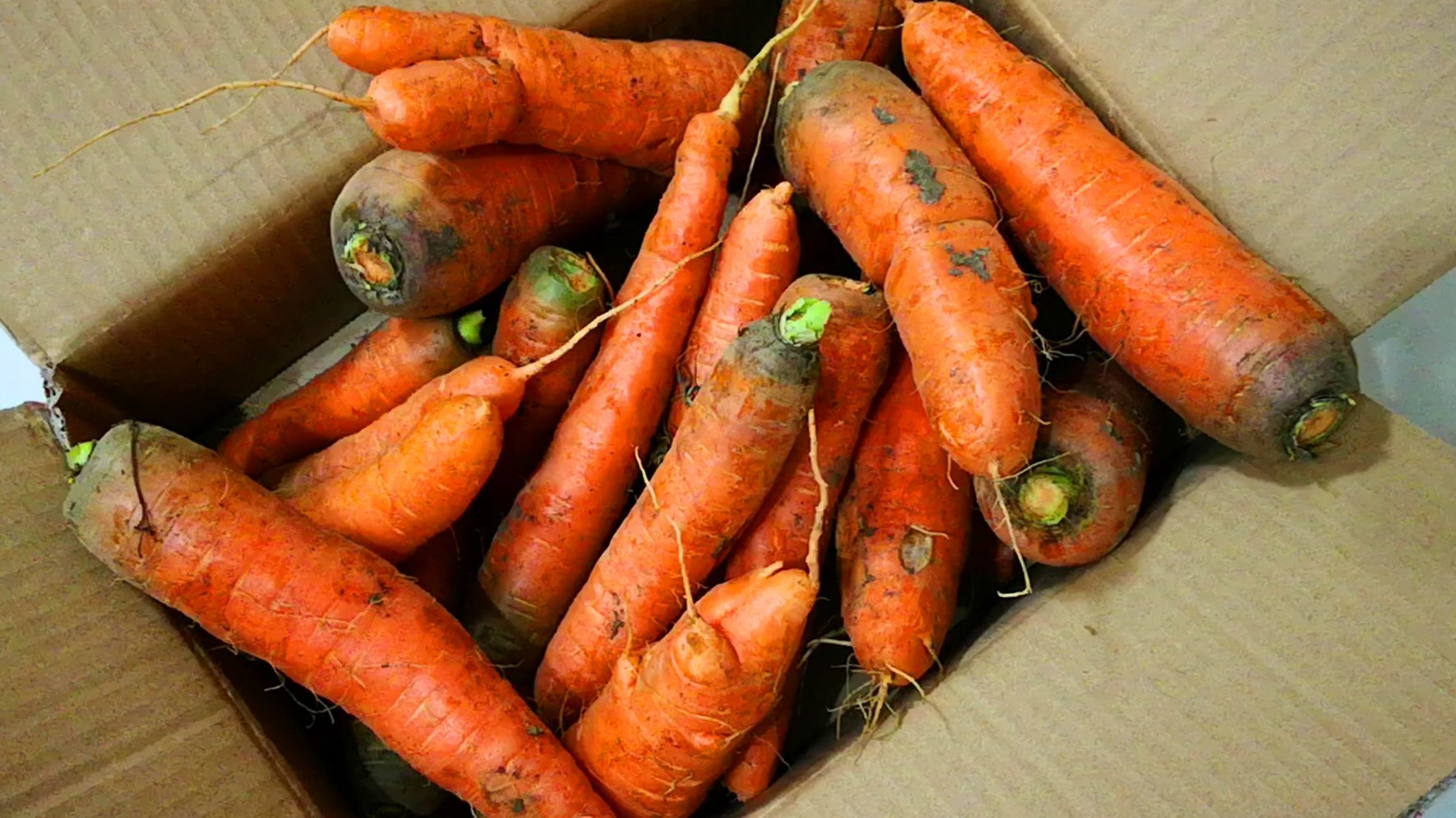 买胡萝卜时选颜色深的还是颜色浅的菜贩子遇到此3种不要买