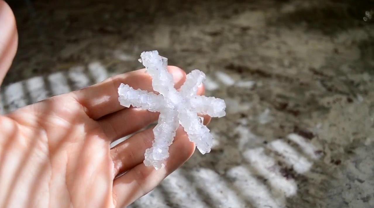 最近好多城市都下雪了,南方见不到雪的地方好生羡慕