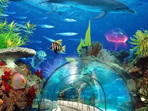的水晶宫,馆内舒适的参观环境,迷人的海底风景,享有"海底龙宫"之美称