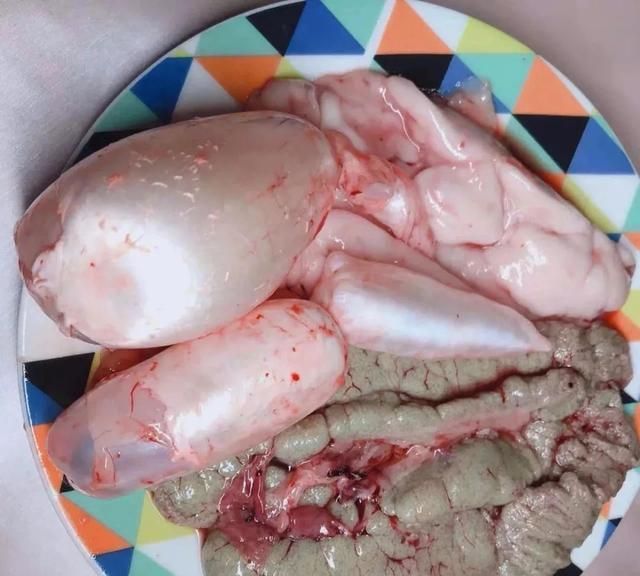 鱼肠|发酵|黄豆_新浪新闻