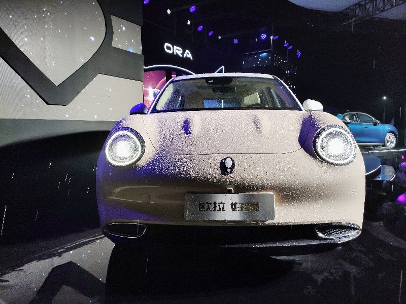 长城再出萌宠,不管白猫,黑猫,再来只"好猫",你爱了吗?