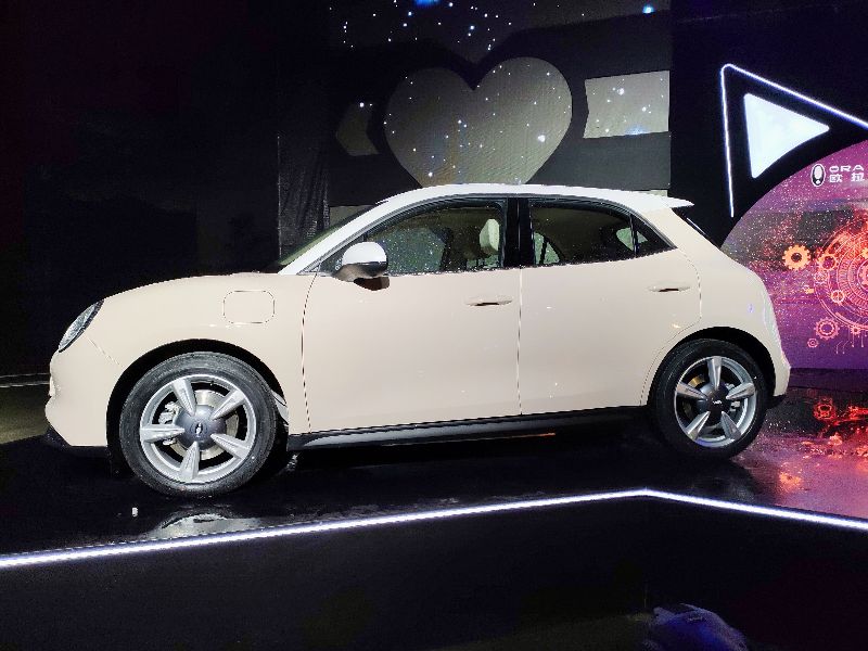 长城再出萌宠,不管白猫,黑猫,再来只"好猫",你爱了吗?