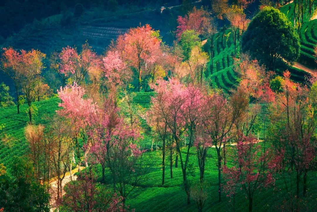 12月最适合旅行的地方 有些美丽只有冬天才有