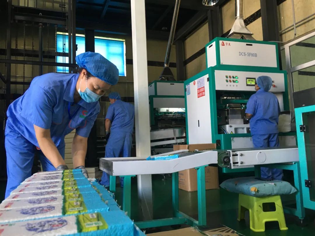 投资好几亿在盐碱地里"打水漂",这个"土老板"有钱"烧"得飘?