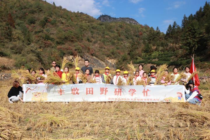 丰收稻田研学忙 田间地头知勤俭|大自然_新浪新闻