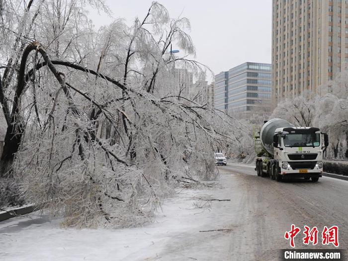 吉林冻雨图片图片