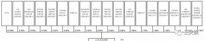 泡泡玛特持股情况，北京泡泡玛特为其境内主体