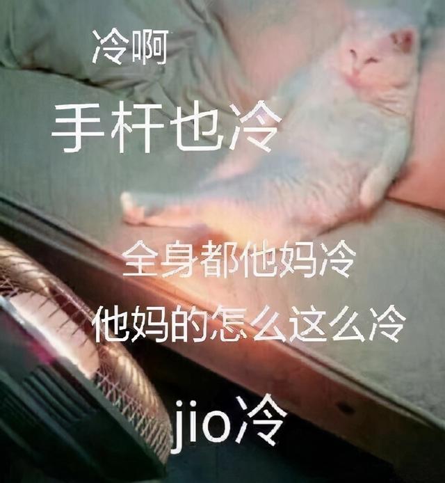 脚冷,不要起床,不想上班,就让我在这冰天雪地里独自心碎,雪花飘飘