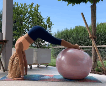 双脚脚背放于瑜伽球上双手撑地,身体成平板呼气收紧核心,臀部向上吸气