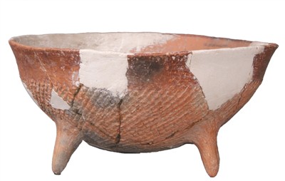 秦安大地湾出土的陶器图片