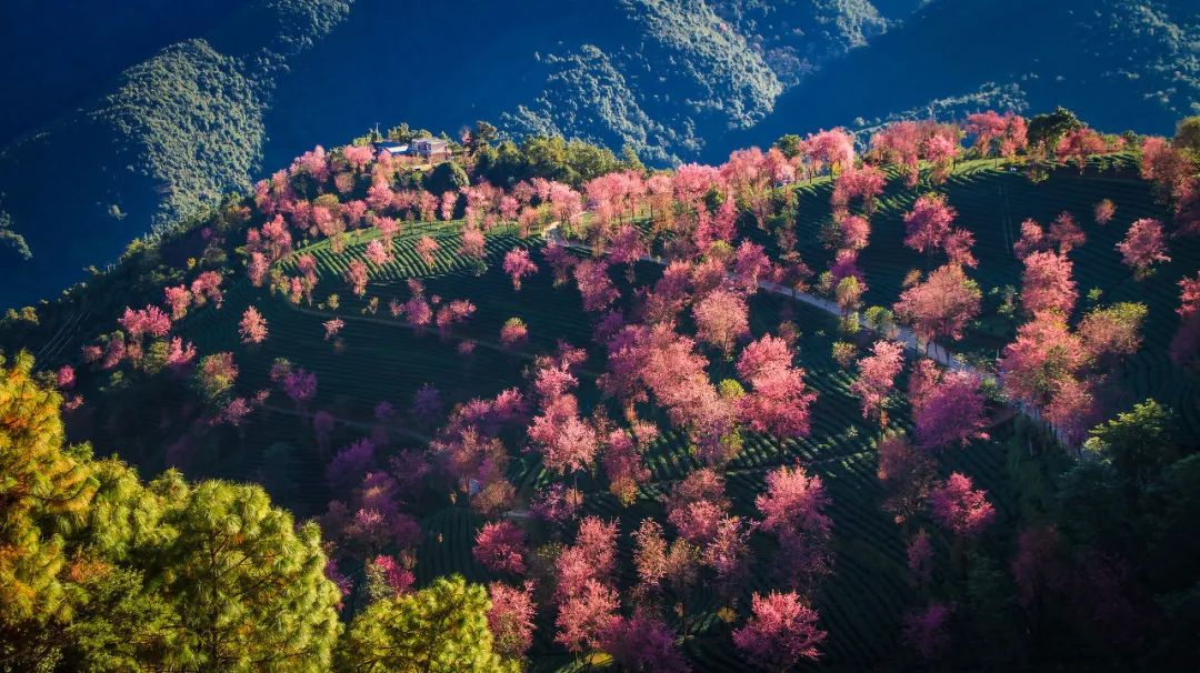 12月最适合旅行的地方 有些美丽只有冬天才有