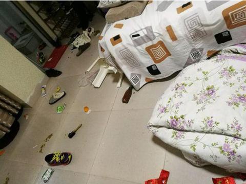 有事出去了一趟,回家后看见满地狼藉,主人气得想活剥狗肉!