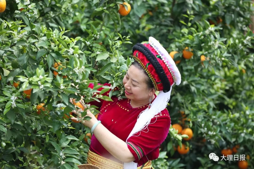 【劳模风采】张冬梅|宾川|云南省_新浪新闻