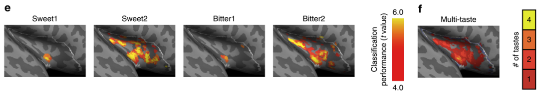 与你群号品茶:从味觉共鸣到精神共鸣的千年仪式