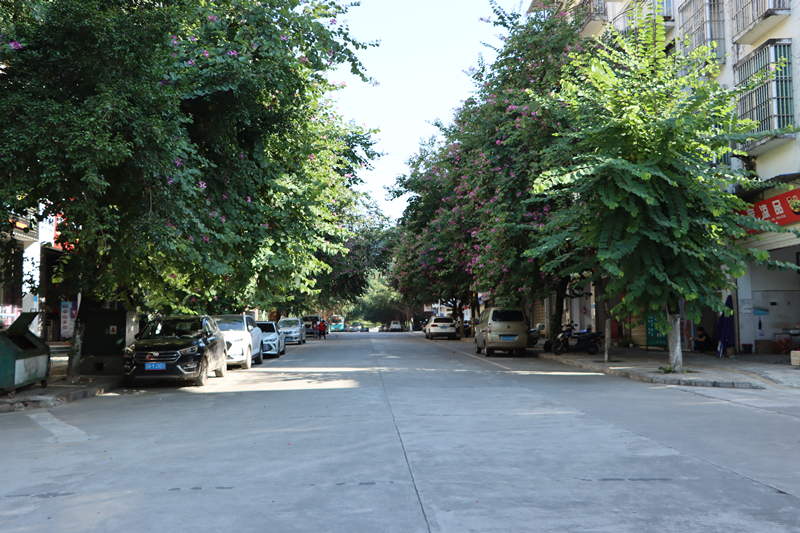 河口"美丽县城"建设:绿了城市 美了人心