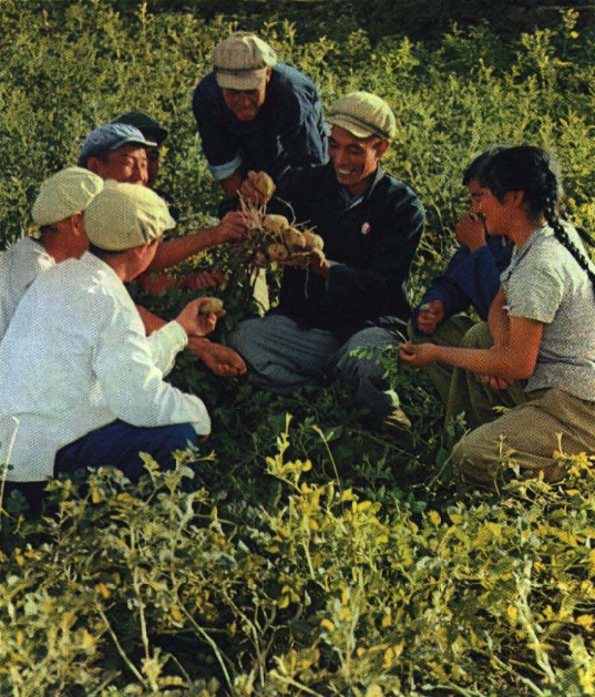 老照片 60年代回乡当农民的大学生村官