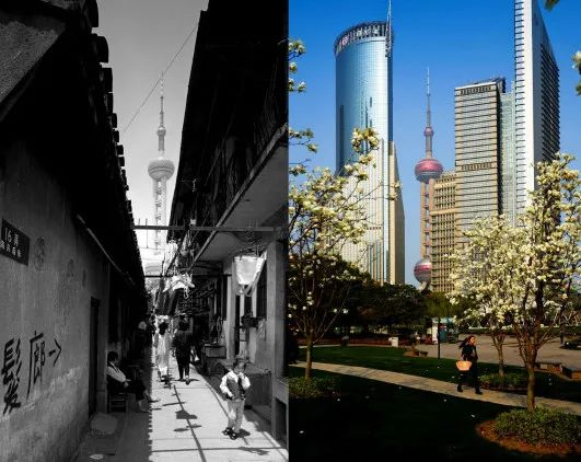 24年前在浦东"烂泥渡路"嗑瓜子的小女孩,你在哪里?