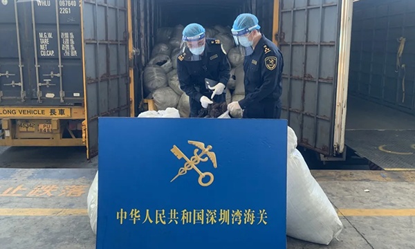 "洋垃圾"退!海关查获废弃人体头发4864公斤