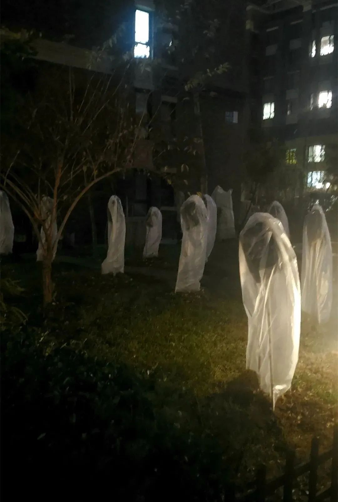 天津某小区惊现一群白衣"女鬼"!网友却纷纷提问:"介在哪儿啊?