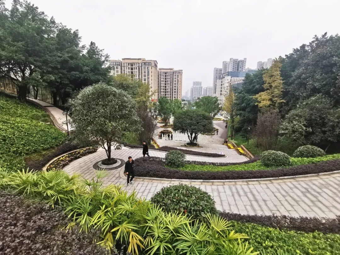 巴南区龙洲湾公园.姚於&nbsp;摄