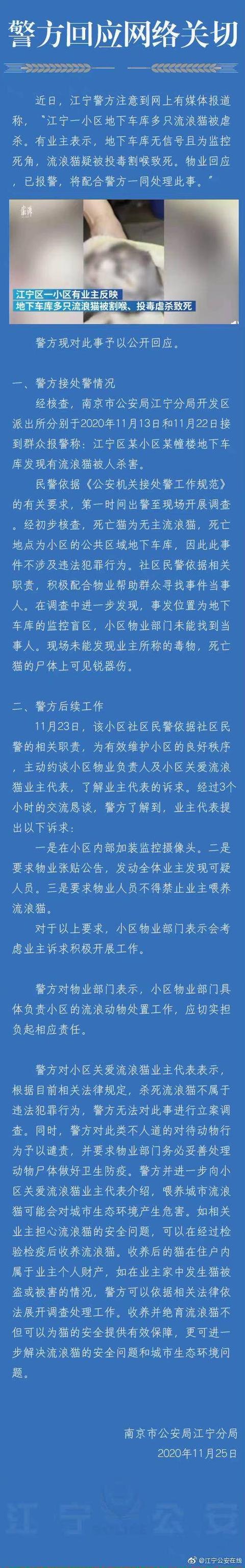 南京江宁警方回应流浪猫被虐杀：尚未涉及违法犯罪，但予以谴责休闲区蓝鸢梦想 - Www.slyday.coM