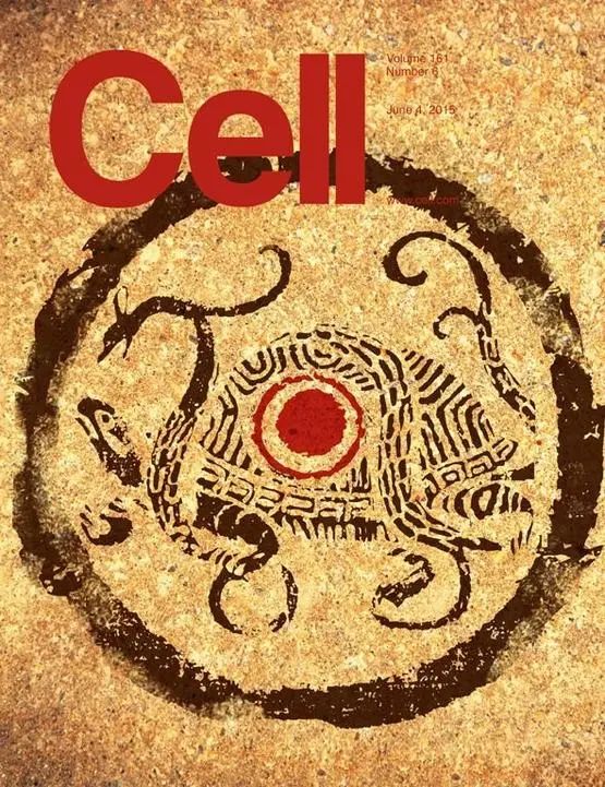 图源：Cell