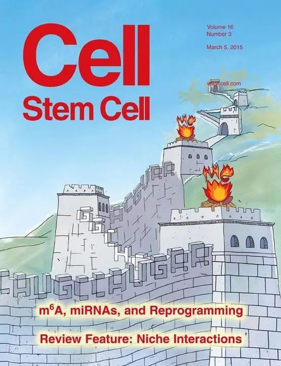 图源：Cell Stem Cell