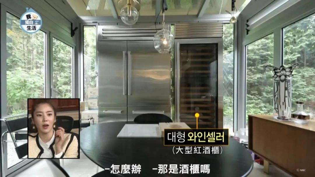 影帝刘亚仁的58亿豪宅一套沙发20万连猫都有独立卫生间唯一缺点就是太