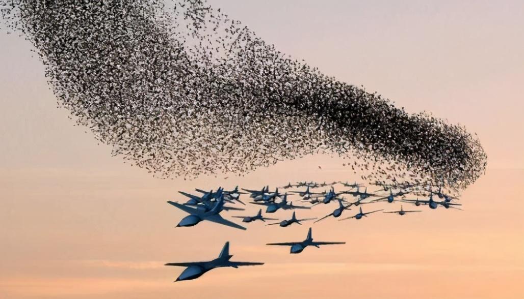 最近大批无人机扑向边境,面对突然出现的无人机蜂群,印度指挥官连呼