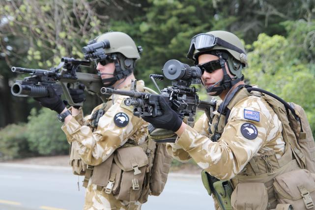 新西兰军事装备图片