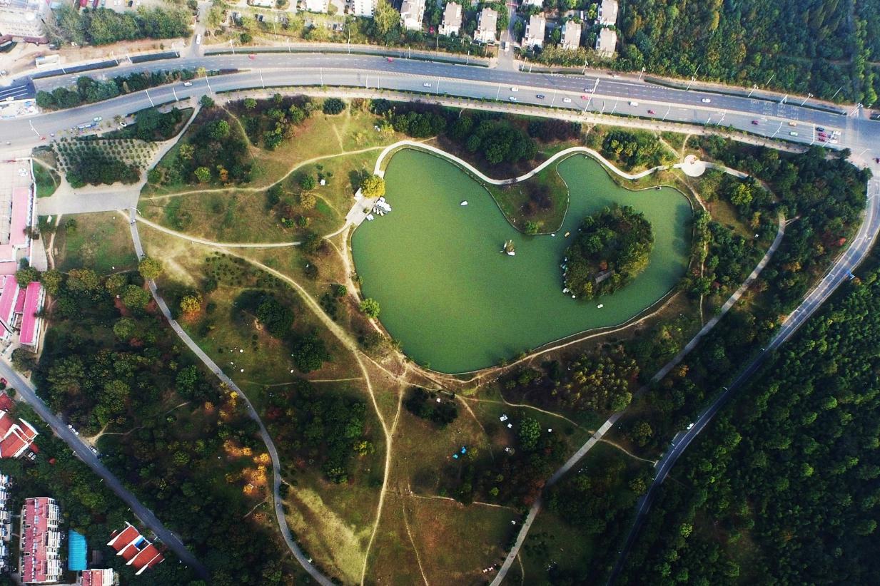 合肥再现"综合性"公园走红,成游客游玩圣地