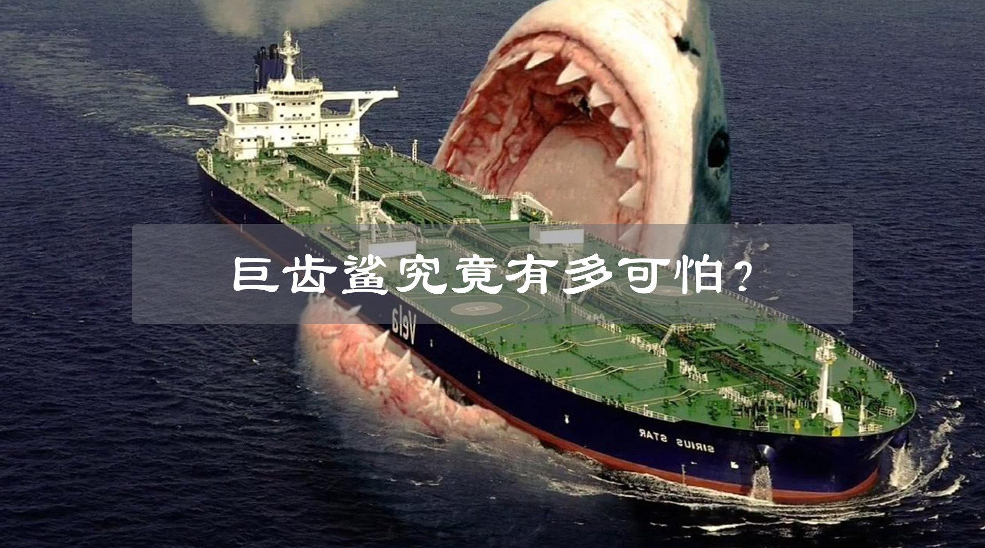 被称为"深海绞肉机"的巨齿鲨,究竟有多可怕?