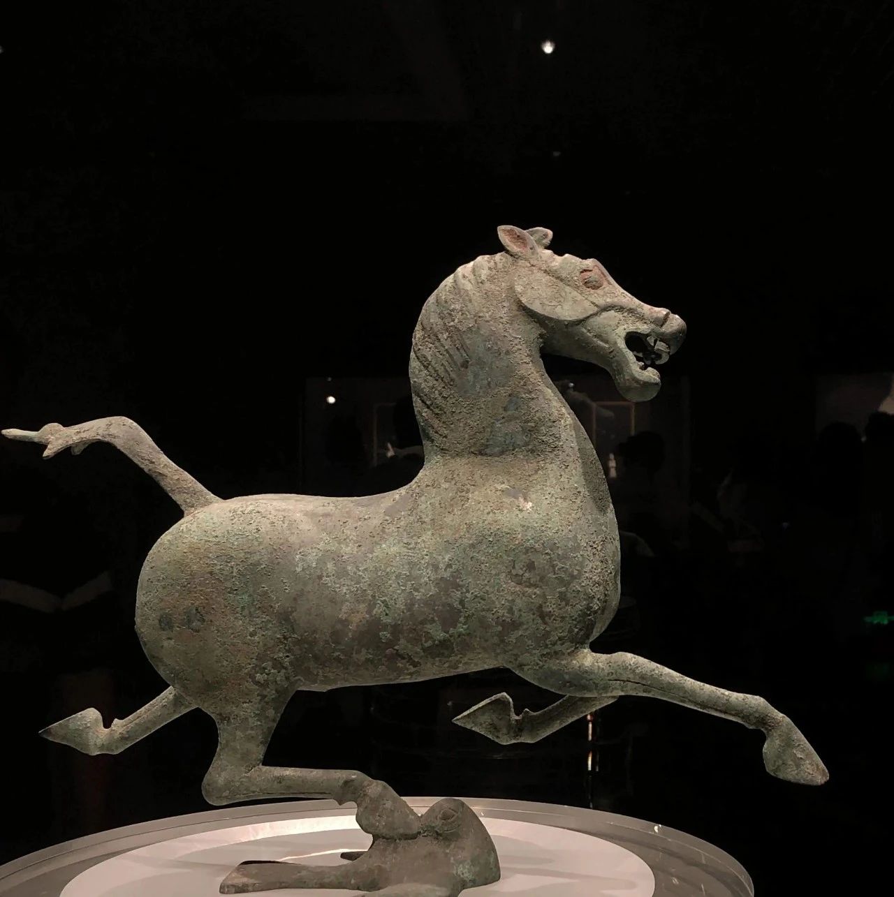 国宝“马踏飞燕”，踏的可能是只鹰_手机新浪网